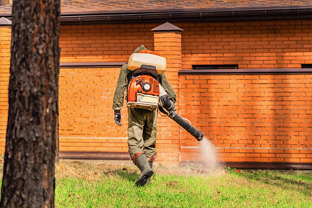 Trusted Termite Control service in Pleasant Run, OH - Nex Pest Control